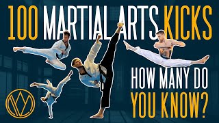 100 DIFFERENT KICKS  FOC Kicktionary  Taekwondo Karate Capoeira Tricking Martial Arts [upl. by Yojal]