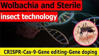 Wolbachia and Sterile insect technology  CRISPRCas9Gene editing  News Simplified  ForumIAS [upl. by Airamesor]