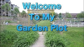 Welcome to My Community Garden Plot [upl. by Ardnaeed]