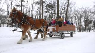 A winter tour of Muskegon State Park [upl. by Nestor]