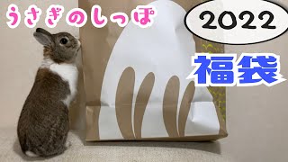 うさぎのしっぽ福袋を開けてみました2022） Luckybag about Bunny merchandise in 2022 65 [upl. by Nnaeitak903]