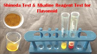 Phytochemical Test for Flavonoid  Qualitative Test for Flavonoid  फ्लावोनोइड टेस्ट कैसे करते हैं [upl. by Neyuh]