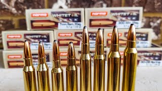 Norma Whitetail Ammo  Full Review of all Loadings [upl. by Ettenotna]