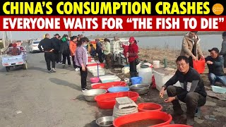 Chinese Consumption Hits Rock Bottom Everyone’s Waiting for “The Fish to Die”—a Regime Change [upl. by Con]