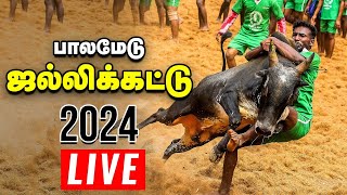 🔴Palamedu Jallikattu 2024 live முடிஞ்சா புடி முடிஞ்சா புடி  பாலமேடு ஜல்லிக்கட்டு 2024  Vikatan [upl. by Nibor]