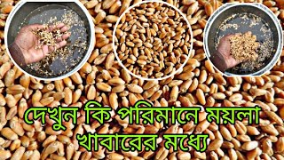 কবুতরের খাবারের মধ্যে অনেক নোংরা কবুতরকে খাবার পরিষ্কার করে খাওয়াবেন 😱😱 [upl. by Ginger]