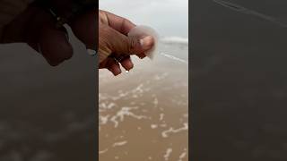 Vala vesam pavanbunga fishing trending viralvideos beach gulla likes fish palasa palasa [upl. by Noinatrad487]