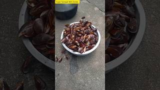 Mussel shell cleaning  supersamayalwithannies food shortsmusselshellcleaningseafood [upl. by Tichonn876]