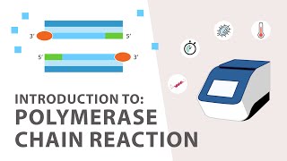 1 PCR Polymerase Chain Reaction Tutorial  An Introduction [upl. by Glyn]