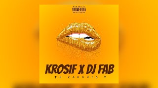 TCHIRIRI X PLAT  DJ FAB ft KROSIF [upl. by Nnaassilem743]