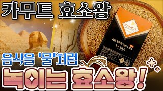 카무트 효소왕🌾신비의 효소분말을 스틱으로 간편하게 주목받는 소화분해 슈퍼푸드 고대시대🦅 곡물로 속편한 식생활 누려보자고요🍽️ [upl. by Mckale]