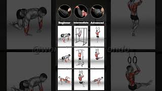 Bodyweight FOREARM WORKOUTS for ALL Levels Build Strength FAST [upl. by Uriisa719]