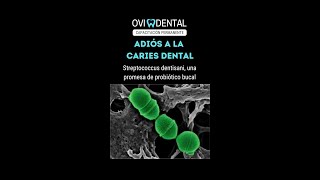 ADIÓS A LA CARIES DENTAL Streptococcus dentisani una promesa de probiótico bucal [upl. by Anoyek314]