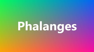 Phalanges  Medical Meaning and Pronunciation [upl. by Fisch]