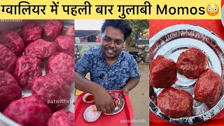 ग्वालियर में पहली बार quotगुलाबी MOMOS quot Dimsums 😳😍  Indian Street Food  Gwalior Food [upl. by Navaj]