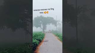 ফজরের নামাজের পর দৃশ্যটা আসলেই অনেক সুন্দর। shoorts travelwithimran585 vairalsong [upl. by Noicpecnoc522]