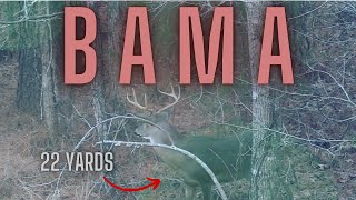 RUTTING Bama Bucks in Bow Range Bow Hunting the Alabama Rut  LONGTINE OUTDOORS EP 4 [upl. by Gisele]