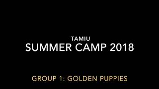 TAMIU Summer Camp 2018 Song [upl. by Eedeed]