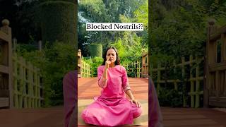 Blocked nostrils try this  blocked nostrilssneezing [upl. by Hachmin]