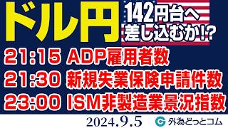 ドル円、142円台へ差し込むのか｜米経済指標次第で大きく変動する可能性（今日のFX予想）202495 [upl. by Tihom924]