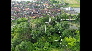 Land Plot  680m² Peaceful Riverfront Land in Kedungu Tabanan [upl. by Nylahs328]