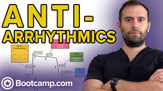 Overview of Antiarrhythmics  HIGHYIELD CARDIOLOGY  USMLE STEP 1 [upl. by Moore]