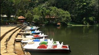 പുക്കോട് തടാകത്തിന്റെ ഇപ്പോളത്തെ അവസ്ഥ  pokod lake [upl. by Castro]