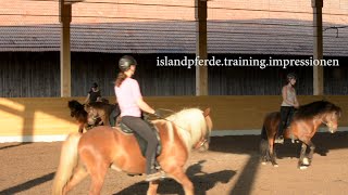 islandpferdetrainingimpressionen [upl. by Odranoel594]