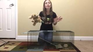 OxGord Live Animal Trap Review [upl. by Anod165]