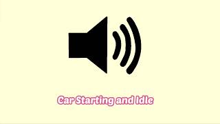 Car Starting and Idle Sound Effect [upl. by Schwerin]