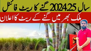 New rate sugarcane final RS450  Sugarcane price in Pakistan 2025 Sugarcane New rate of Punjab [upl. by Sadie]