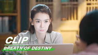 Clip Li Tiancheng Or John A Hard Choice  Breath Of Destiny EP17  一起深呼吸  iQiyi [upl. by Jason]