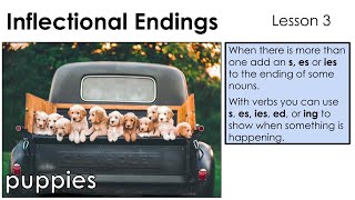 Inflected Endings s es ies  Lesson 3 [upl. by Amihc]