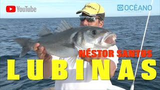 Pesca de lubinas con Néstor Santos Documental [upl. by Binky]