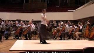 Nina Corti dance Flamenco Ravel Schnyder De Falla  Part 2 [upl. by Hiroko]