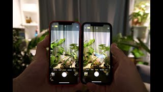 Comment améliorer sa qualité dappareil photo et vidéo sur son iPhone [upl. by Naesal252]