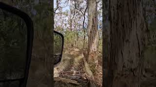 Exploring the Goldfields in the Y62 patrol love the sound from the pacemaker exhaust 4x4 outbush [upl. by Ttirrem]