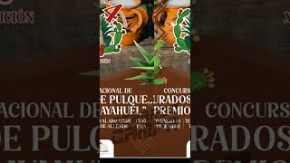 Concurso Curados de Pulque 1 de diciembre a las 1500 horas en Tula Festival de los 4Gigantes [upl. by Bhatt]