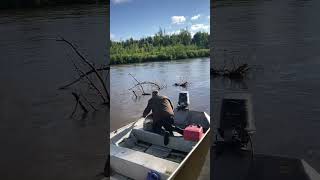 WHAT HAPPENS WHEN THE RIVER GETS WAY TO MUCH RAIN ALASKA WILDERNESS RIVERS [upl. by Newton]