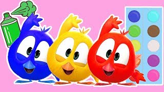 Where is Chicky Funny Chicky Chicky Français Dessin Animé Pour Enfant Learn Colors with Funny [upl. by Anagnos]