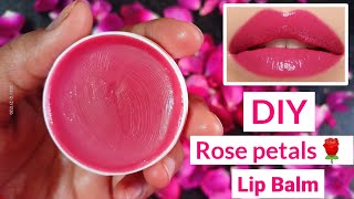 Make lipbalm with only 1 Ingredient  Rose lipbalm with coconut oil  Rose petals lip balm Lipbalm [upl. by Darbee562]