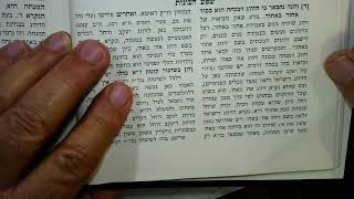 RABBI ISAAC LURIA the ARI Shaar Hakavanot NIGHT ESSAYS 29 Shevat 5784 [upl. by Adnalram483]