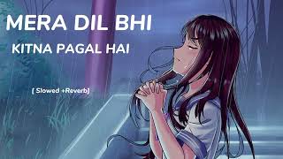 Mera Dil Bhi Kitna Pagal Hai  Slowed Reverb  Lofi Songsyoutube love [upl. by Akiehsat395]