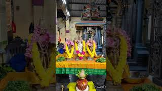 govinda kovinda👏balajistatus kallai mattum kandal songvaralgovindasongs shortsfeed shorts [upl. by Auqinet]