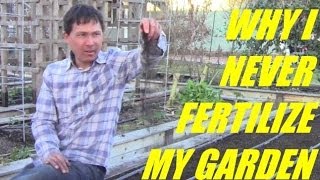 Why I Never Fertilize My Vegetable Garden and Get Better Results without it [upl. by Wiese]