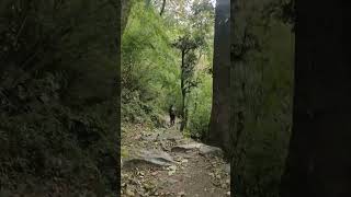 Pindari glacier trek  kafni glacier trek [upl. by Iruj153]