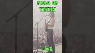 King Gizzard live at edgefield troutdale Oregon 2024 [upl. by Rocky593]