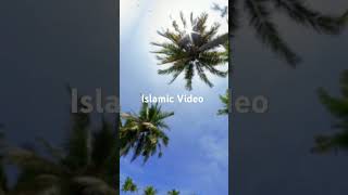 Whatsapp Status shortvideo islamicshorts jummamubarak [upl. by Nnauol]