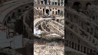 Colosseum rome 2024 italy europe travel shorts fyp reels tourism vatican [upl. by Fenny]