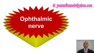 Ophthalmic Nerve [upl. by Vandervelde]